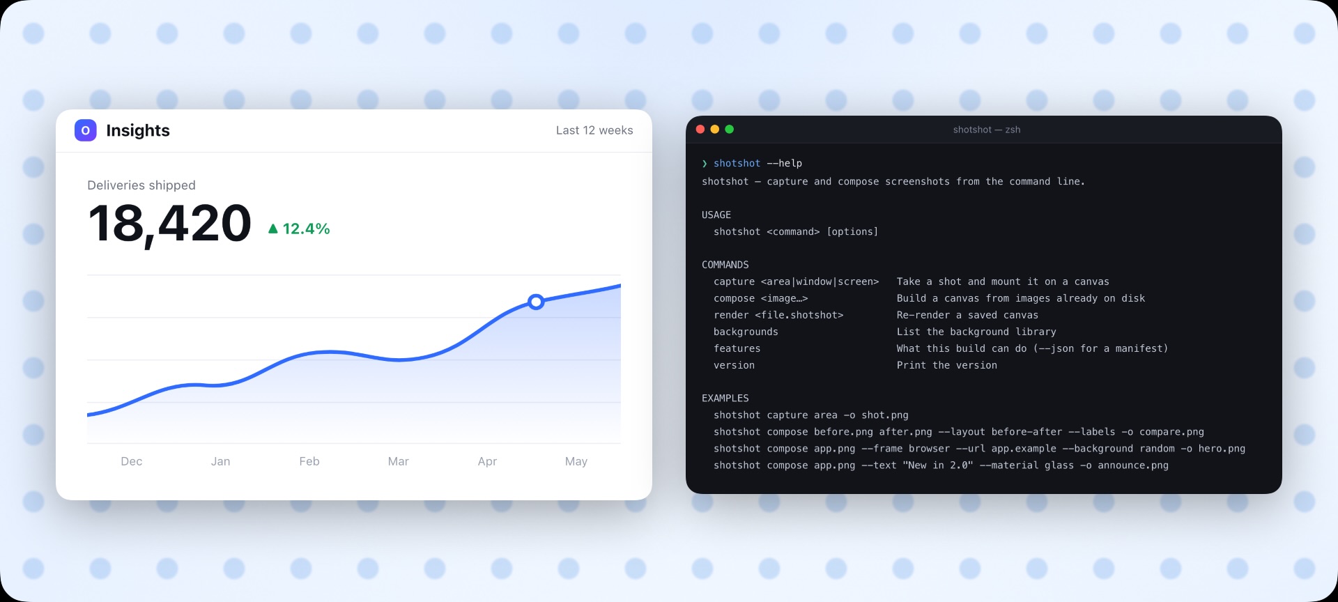 An insights screenshot and the shotshot --help terminal output laid out in a row on a dotted sky-blue background.